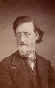 Portret van John Peter Lesley 1819-1903, december 1875 door Taylor and Brown