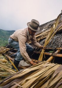 Een Colombiaanse boer dekt zijn dak met suikerrietbladeren - nabij Pamira, Colombia door Ted Spiegel