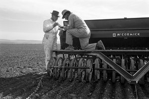 Familieboer Ed Ker op A.M. Ker Ranch is een landbouwkolonist die alfalfa verbouwt