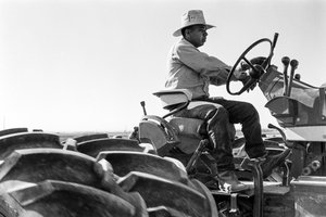 Familieboer Ed Ker op A.M. Ker Ranch is een landbouwkolonist die alfalfa verbouwt door Ted Spiegel