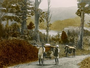 Japans meisje in een Kago, regio Hakone, circa 1900 - 1915 (foto)