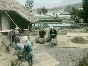 Boeren die rijst winnen aan de rand van rijstvelden in Japan, circa 1900 - 1915 (foto) door Teijiro Takagi