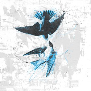 Spiraalvogels II