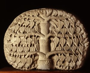 Bodhiboom
