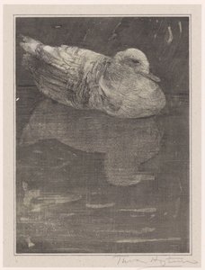 Drijvende eend door Theo van Hoytema (signed by artist)