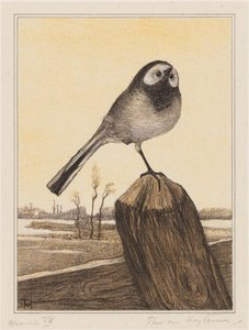 Kwikstaart op paal