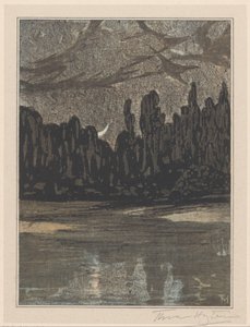 Nachtelijk landschap met trekvogels