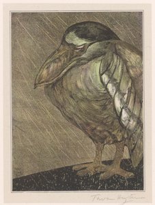 Schuitbekreiger in de regen