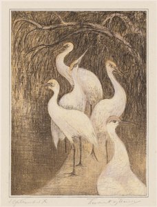 Zes kraanvogels aan de waterkant