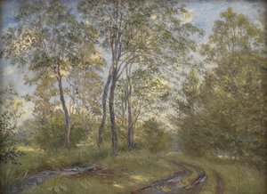 Een rivier bij Meilgård Manor, Jutland door Theodor Philipsen