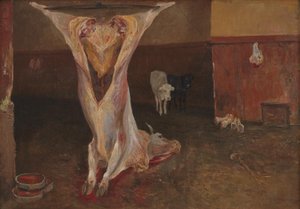 Karkas van een os. Rome