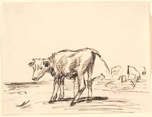 Een stierkalf door Theodor Philipsen