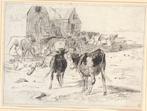 Hooioogst op Saltholm. Kalveren verzamelen zich rond wagens bij de schuur