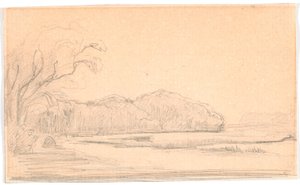 Landschap bij bosomzoomd meer