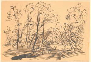 Boslandschap met slanke bomen