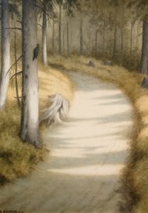 Specht