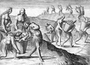Stam van de Timucua Indianen door Theodor de Bry