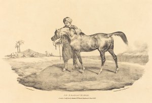 Een Arabisch paard door Theodore Gericault