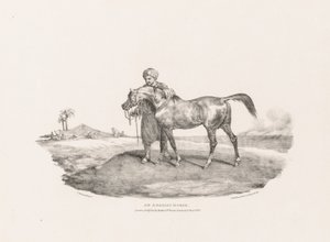Een Arabisch paard door Theodore Gericault