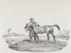 Een Arabisch Paard, 1821