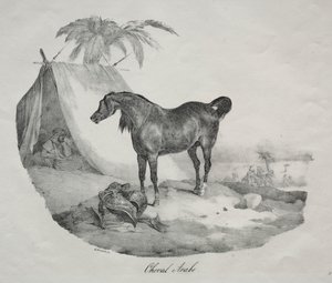 Arabisch paard door Theodore Gericault