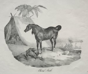 Arabisch Paard door Theodore Gericault