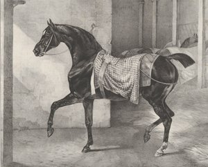 Zwart paard vastgebonden in een stal, 1822 door Theodore Gericault