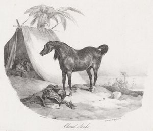 Arabisch paard (An Arabian Horse) door Theodore Gericault
