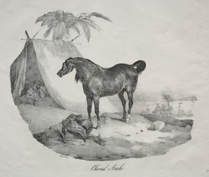 Arabisch Paard door Theodore Gericault