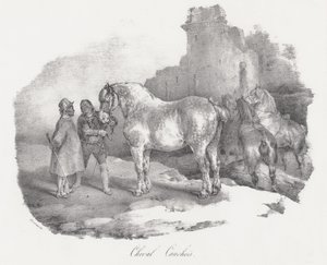 Cheval Cauchois (een inheems paardenras uit Caux, Normandië)