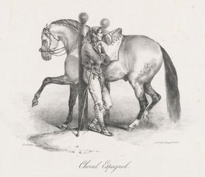 Spaans paard (A Spanish Horse)