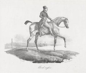 Engels paard (An English Horse) door Theodore Gericault