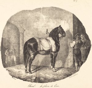 Paard van de Vlakte van Caen door Theodore Gericault