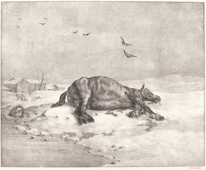 Dood paard door Theodore Gericault