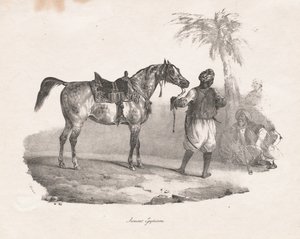 Egyptische Merrie, 1822