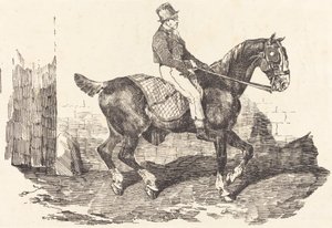 Koetsier te paard