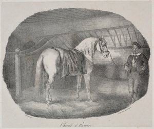 Hannoveraans Paard