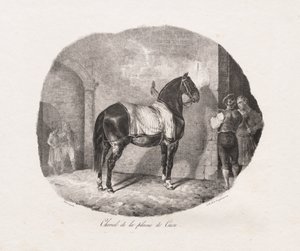 Paard van de Caen-vlakte