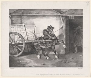 Het paard van de stukadoor (The Plasterer