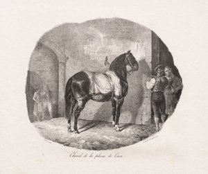 Lithografische Studies van Paarden: Pl. 7, Paard van de Caen-vlakte door Theodore Gericault