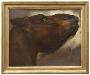 Studie naar een dood paard door Theodore Gericault