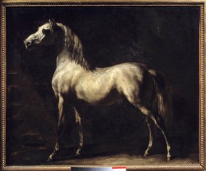 Studie van een paard