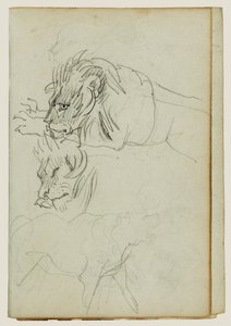 Drie leeuwenstudies door Theodore Gericault