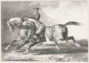 Twee Gevlekte Paarden aan het Oefenen