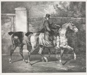 Twee paarden geoefend door een jockey
