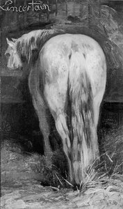 Onzeker, het paard in de stal