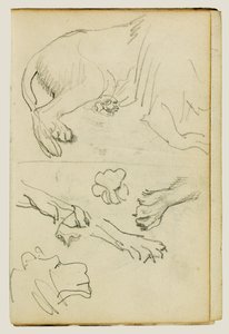 Diverse studies van leeuwenpoten, -poten en -kop door Theodore Gericault