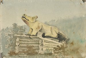 Indiaans graf. Wolf Totem boven Medicijnman Graf, Wrangell