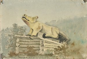 Indiaans Graf. Wolf Totem boven Medicijnman Graf, Wrangell, ca. 1880-1914