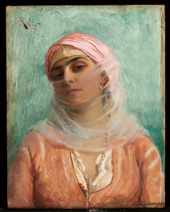 Jonge Ottomaan, 1879